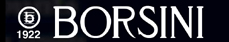 borsini logo